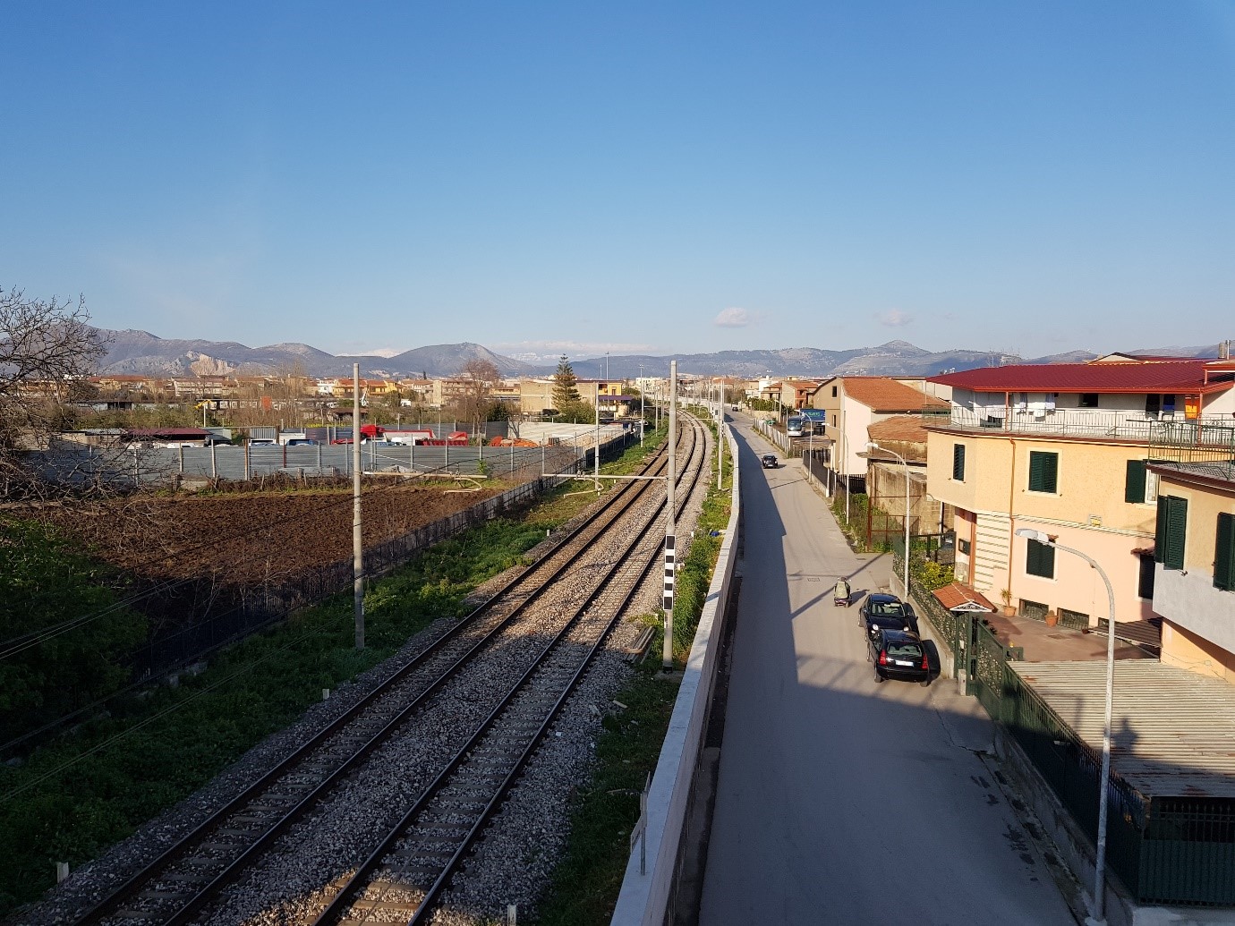 ferone